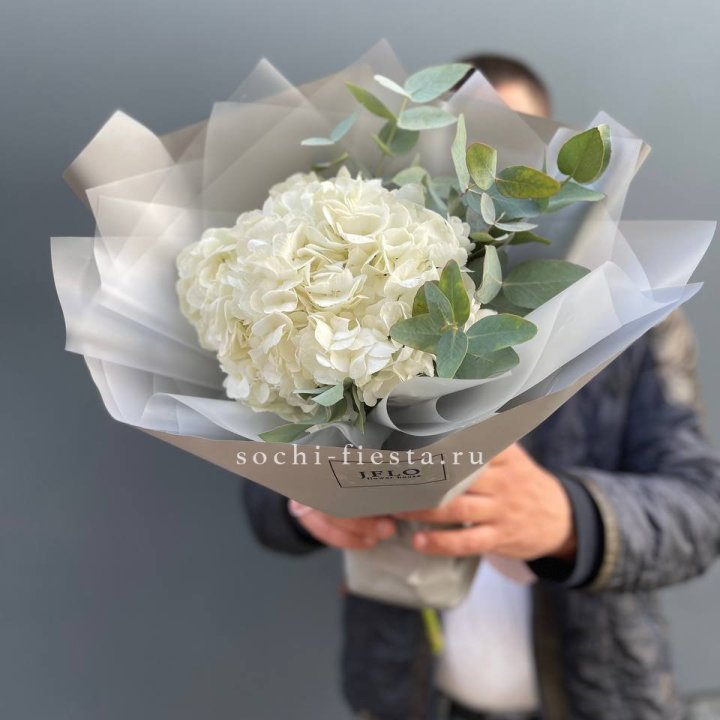  Букет  из белой гортензии в Сочи