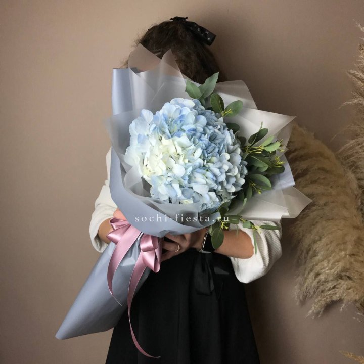 Гортензия Уно в Сочи