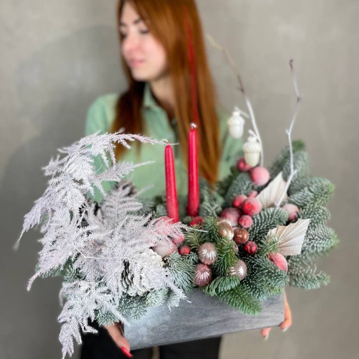 Бокс красный с нобилисом в Сочи