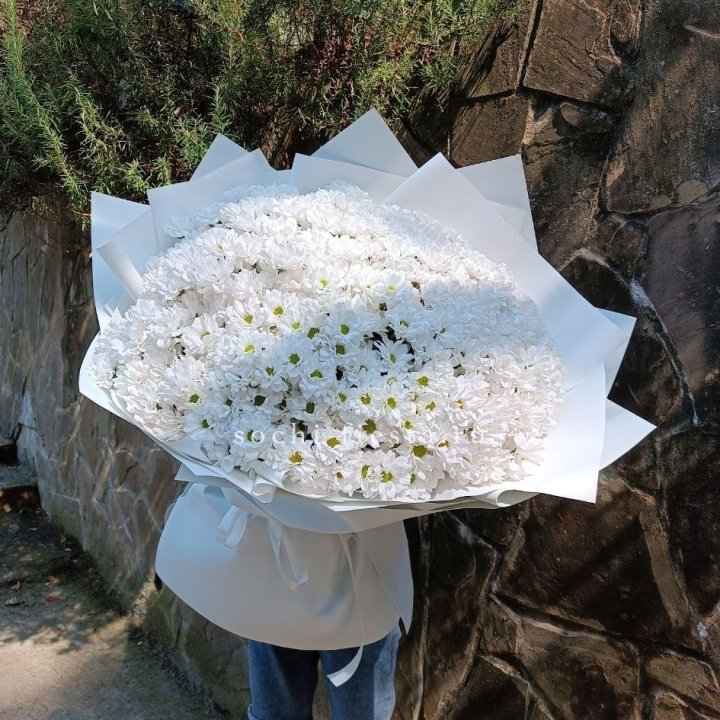 Облако хризантем №2 в Сочи