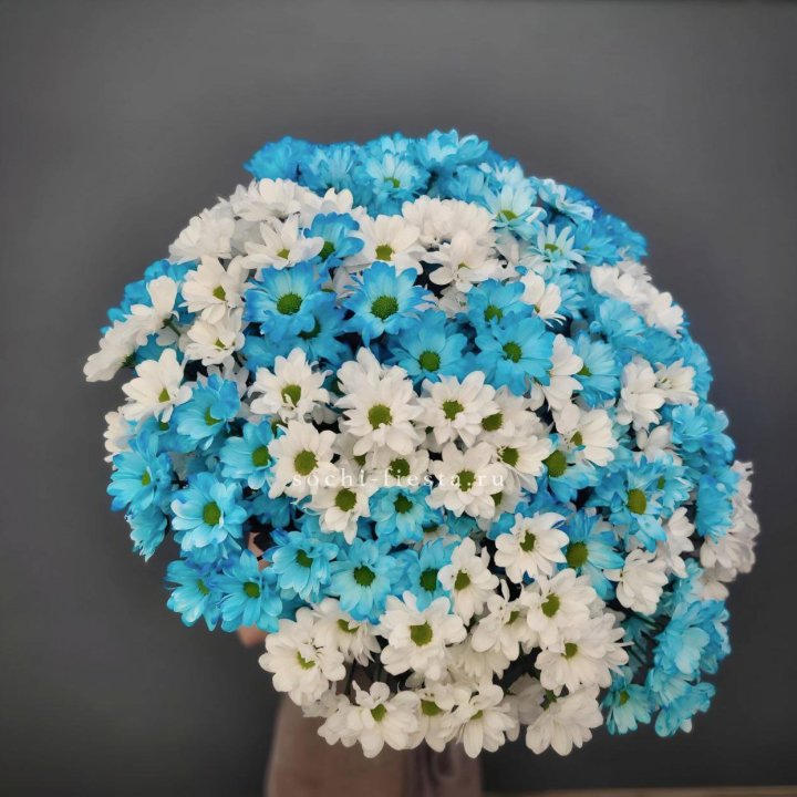  Букет хризантем микс в Сочи