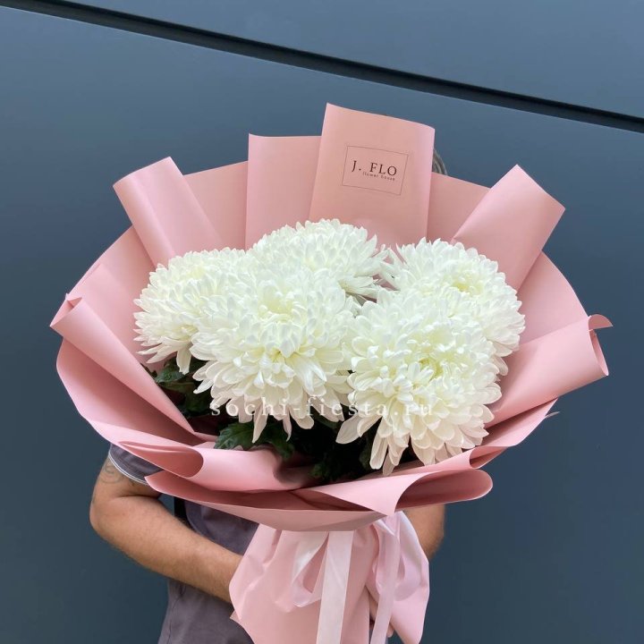 Профитроли №2 в Сочи