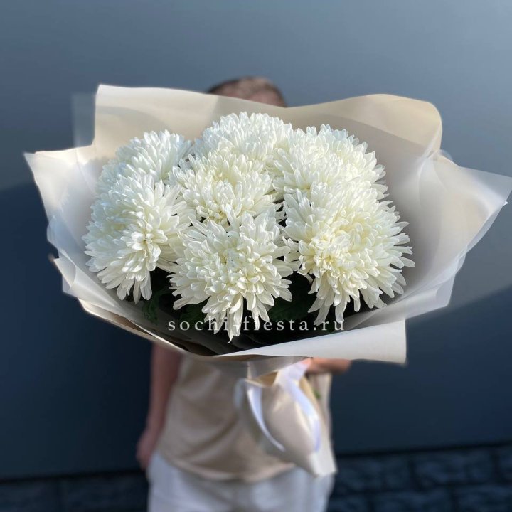 Профитроли в Сочи