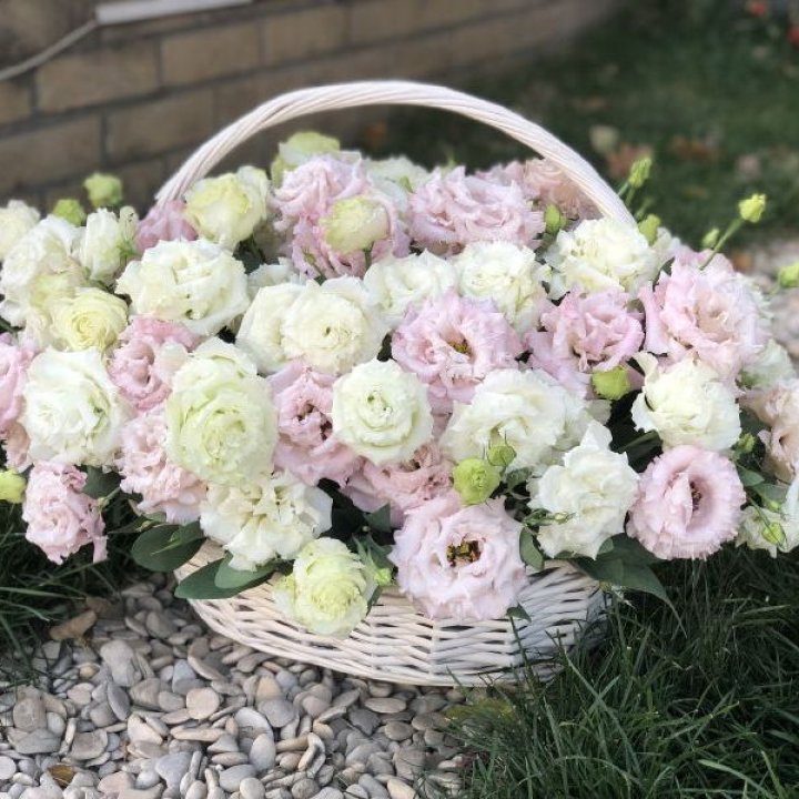 Корзина с эустомой в Сочи