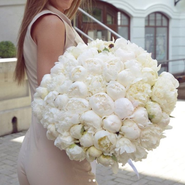 51 белый пион в Сочи