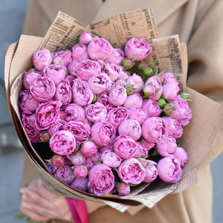 Роза Мисти Баблс в Сочи