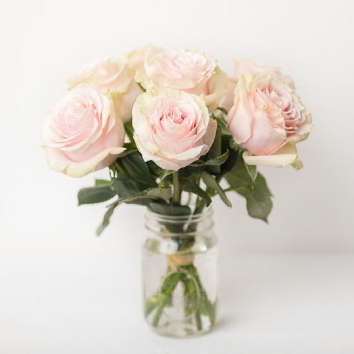 7 кремовых роз в Сочи