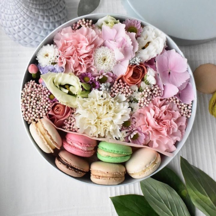 Creambox M в Сочи