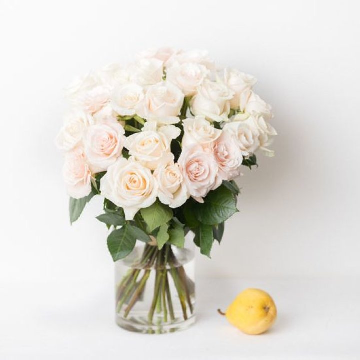 25 кремовых роз в Сочи