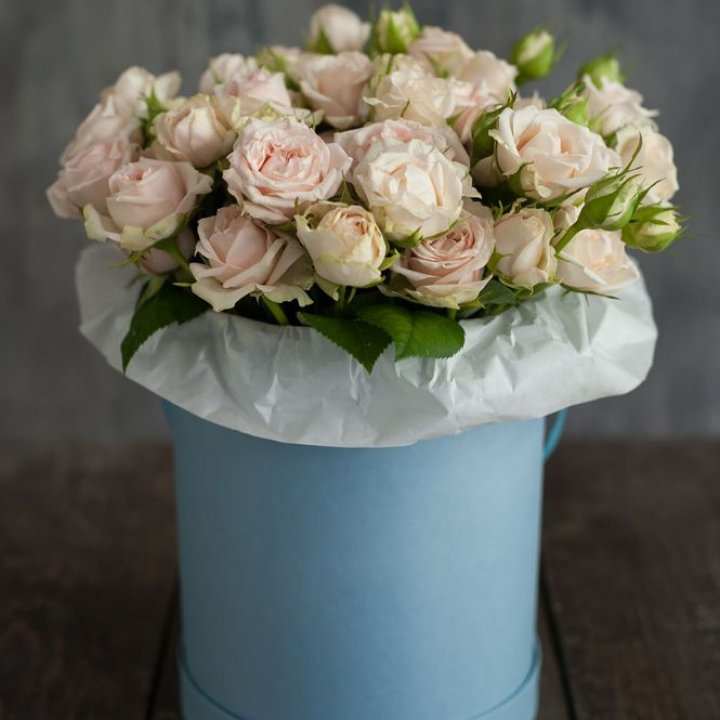 Бокс с бомбастиком в Сочи