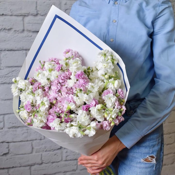 Маттиола в Сочи