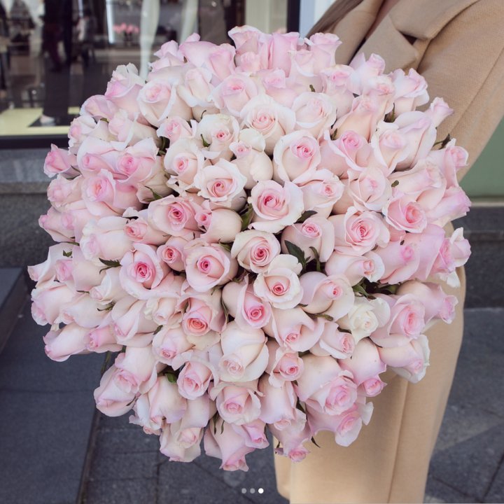 Pink boom в Сочи