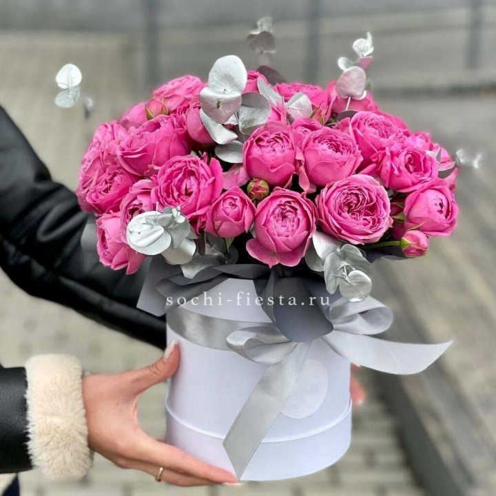 Бокс мисти баблс №2 в Сочи