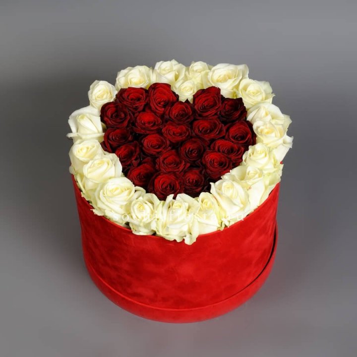 39 красных и белых роз в цилиндре в Сочи