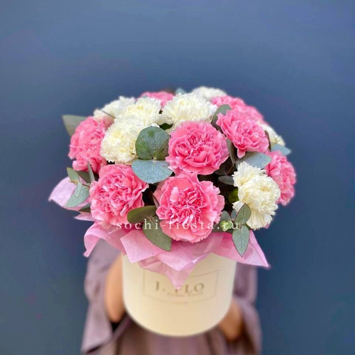 Диантусы в цилиндре в Сочи