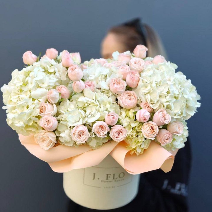 Дизайнерский бокс Isabella в Сочи