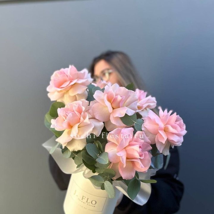 Французские роз в боксе в Сочи