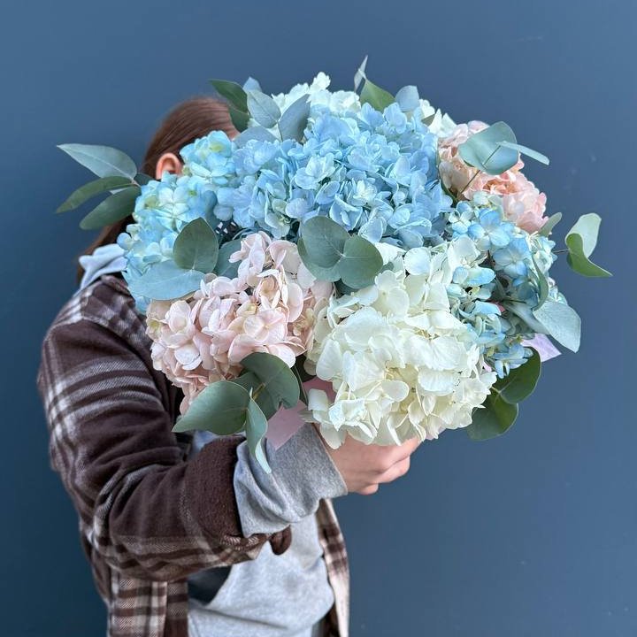 Гортензии в коробочке в Сочи