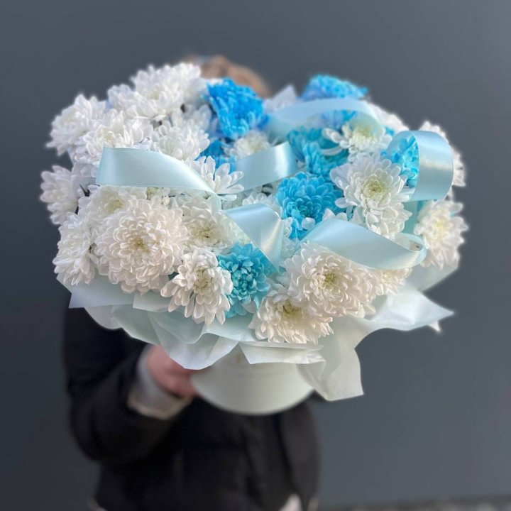 Хризнтемы в боксе в Сочи