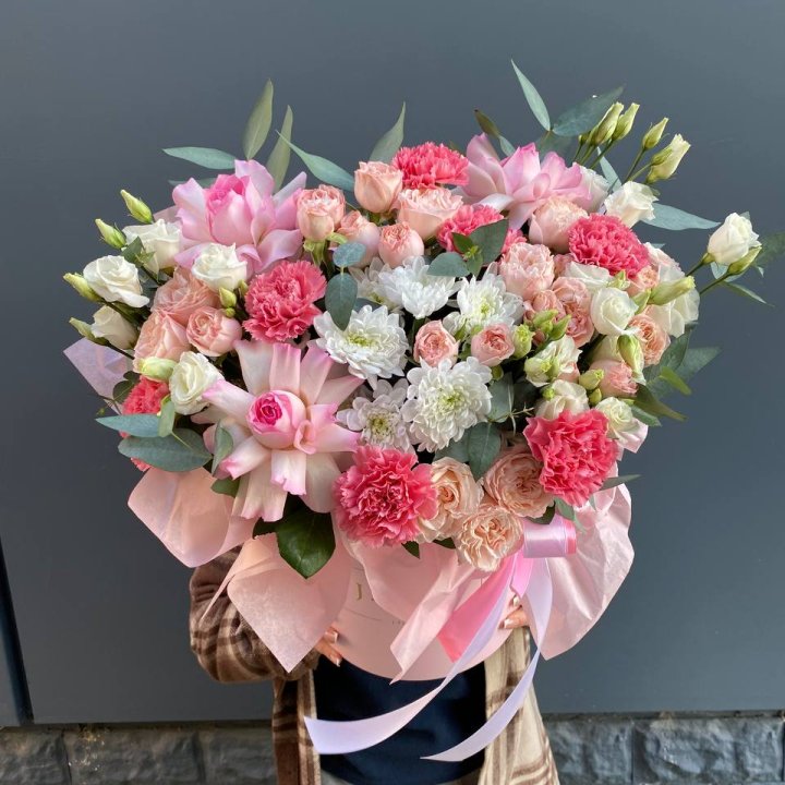 Бокс "Мирослава" в Сочи