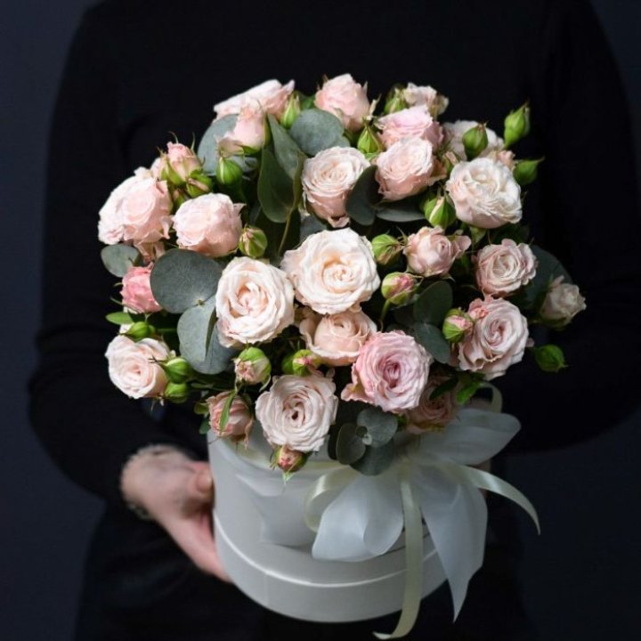 Бомбастик бокс №2 в Сочи