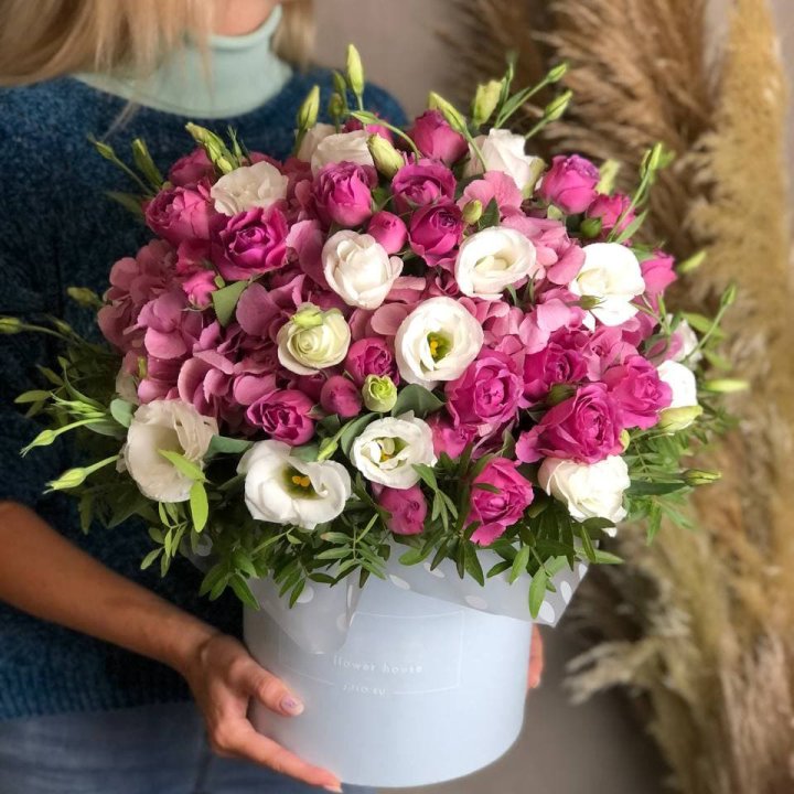 Бокс "Агата мисти" в Сочи