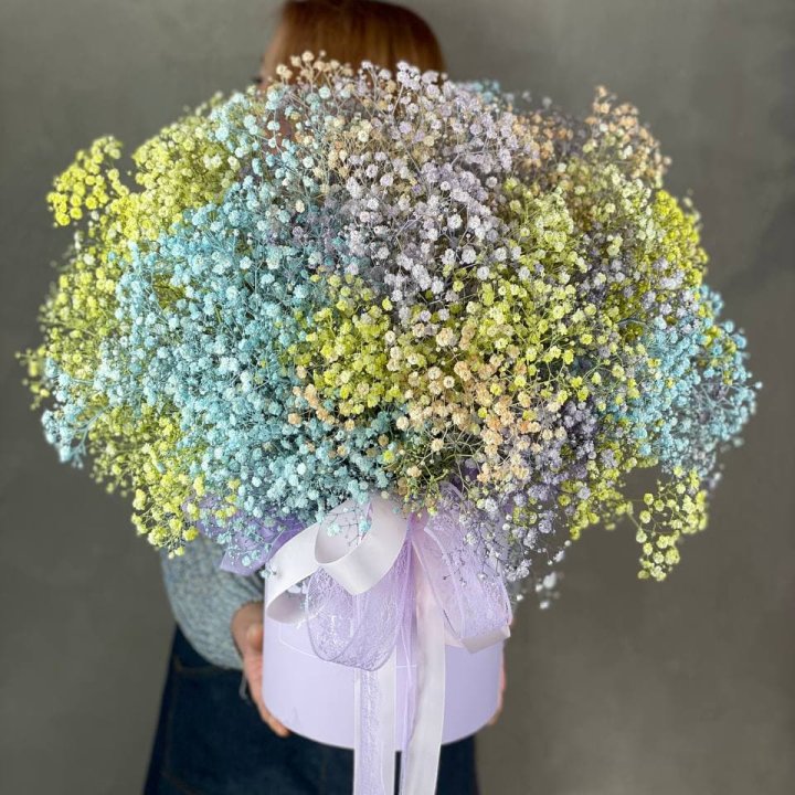 Бокс из гипсафил в Сочи