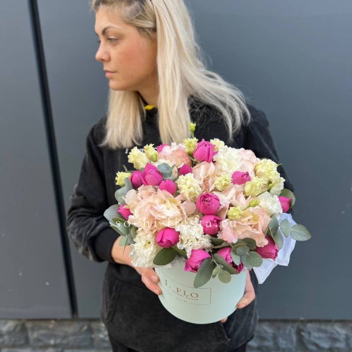 Сборный бокс премьер в Сочи