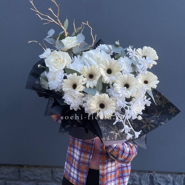 Бокс "Полуночная луна" в Сочи