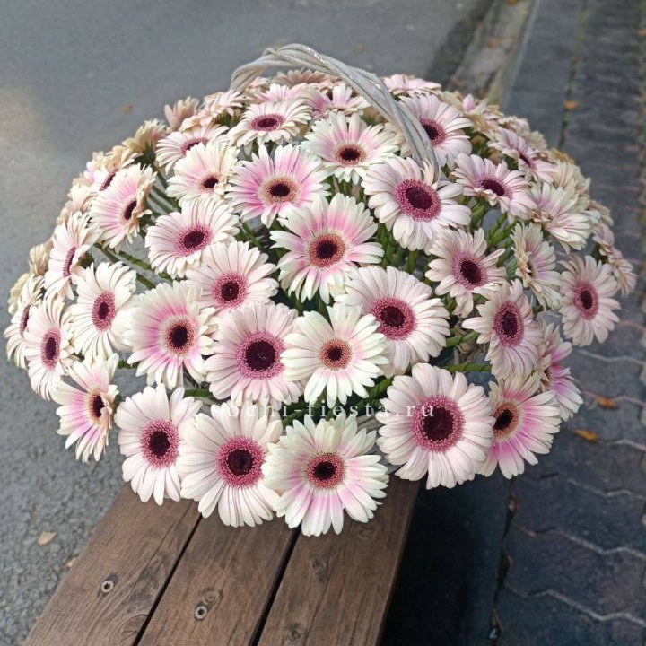 Корзина с герберами  в Сочи