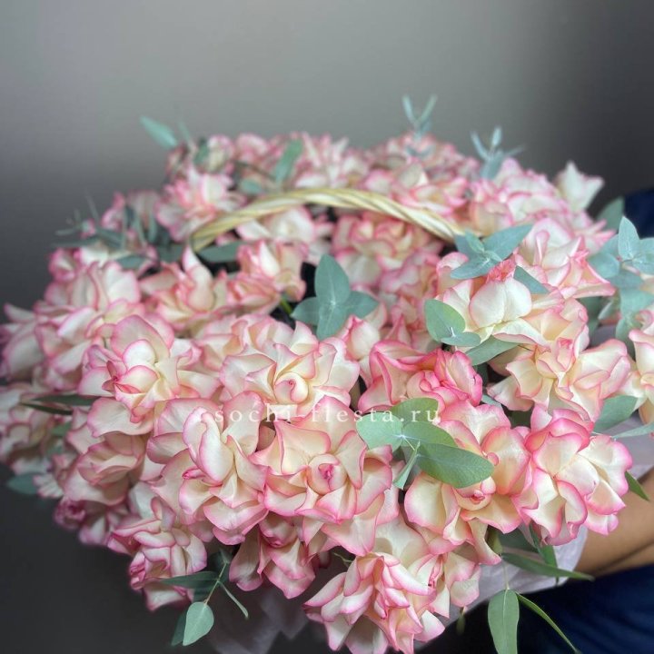 51 джумилия  в корзине   в Сочи