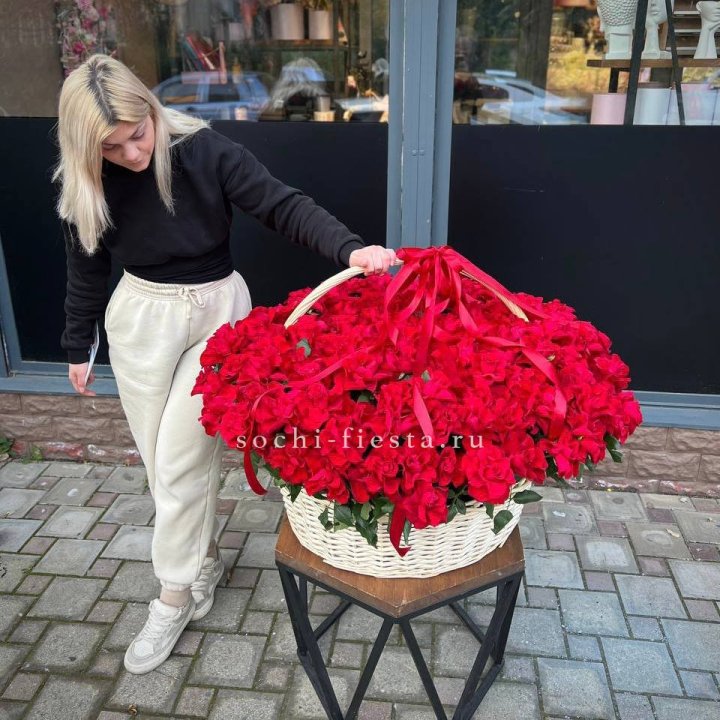 201 французская красная роза в Сочи