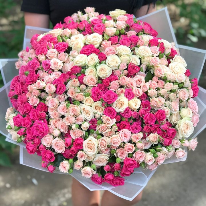 101 кустовая роза в Сочи