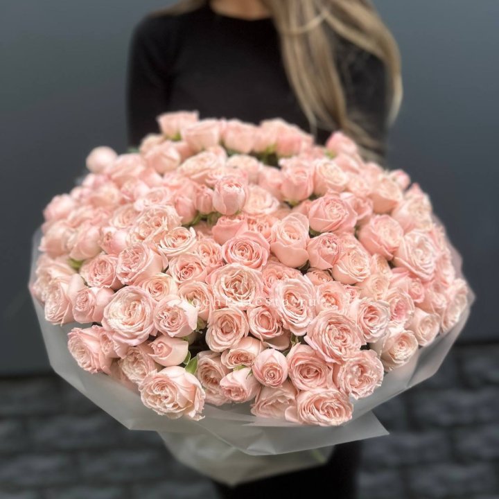 51 кустовая роза Бомбастик в Сочи