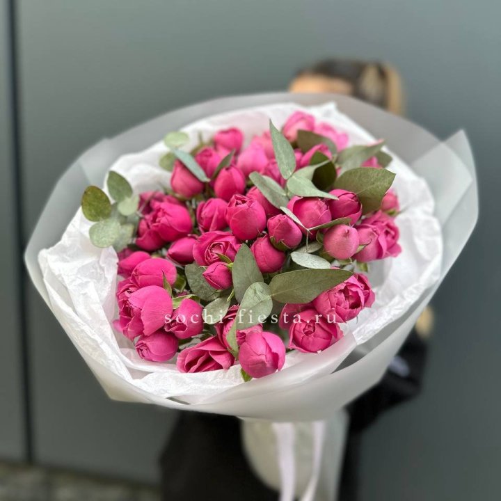 17 Мисти бабблс в Сочи