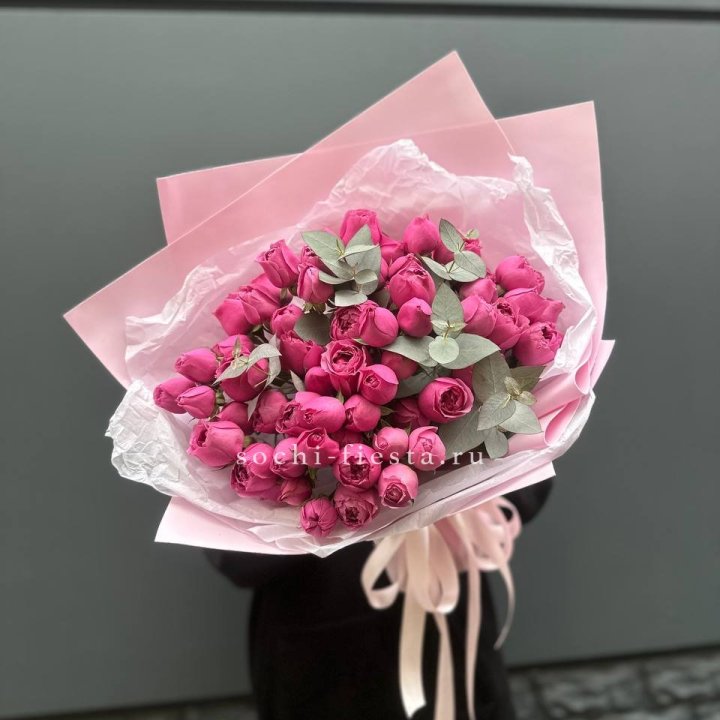 25 Мисти бабблс в Сочи