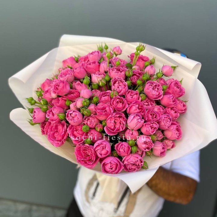 Мисти Баблс 35шт в Сочи