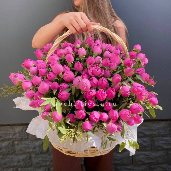 Misty Basket 51 в Сочи