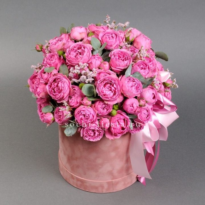 Мисти бокс №1 в Сочи