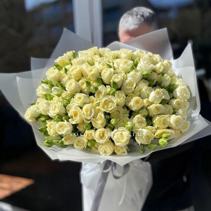 Белые кустовые розы 31 шт в Сочи