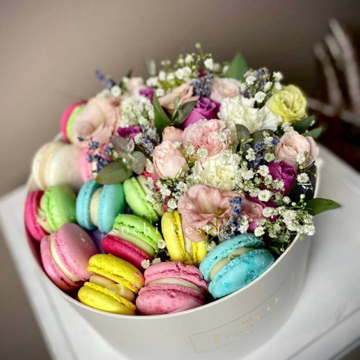 Creambox L в Сочи