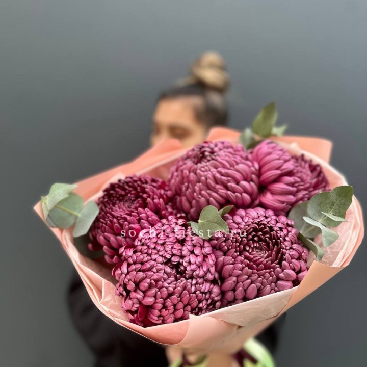 Хризантемы  Бигуди  в Сочи