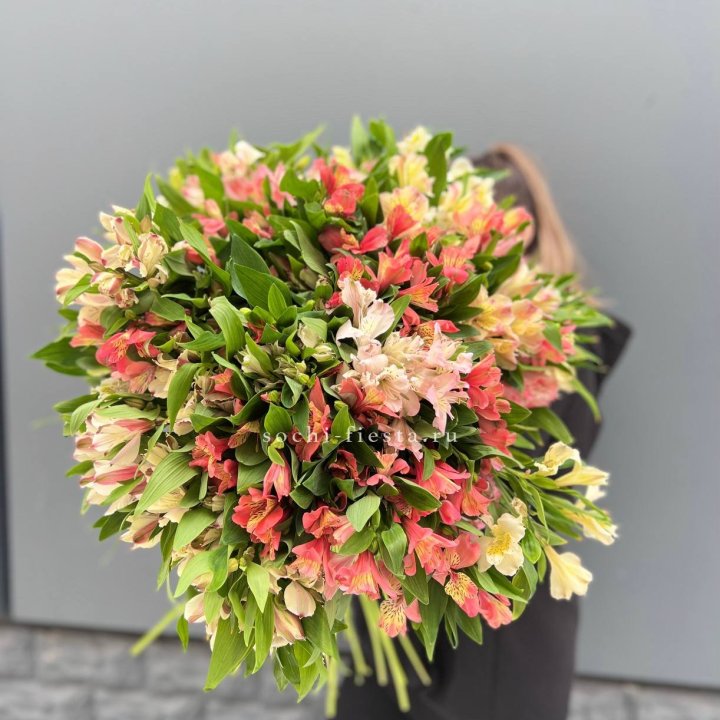 51 альстромерия в Сочи