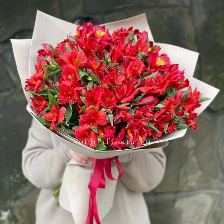 51 альстромерия в Сочи