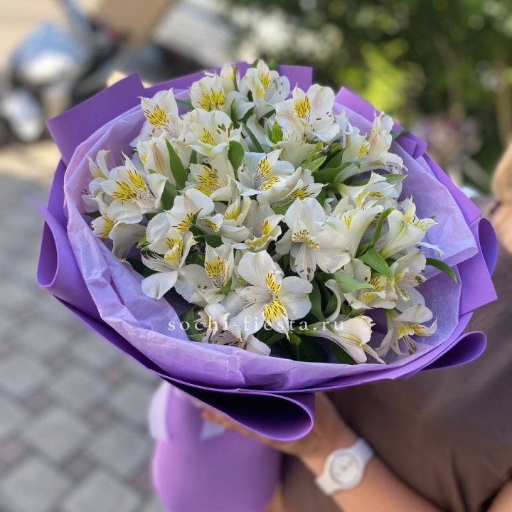 Букет альстромерий №6 в Сочи
