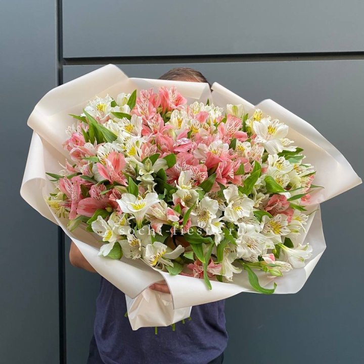 39 альстромерий в Сочи