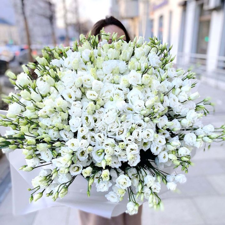 101 белая эустома в Сочи