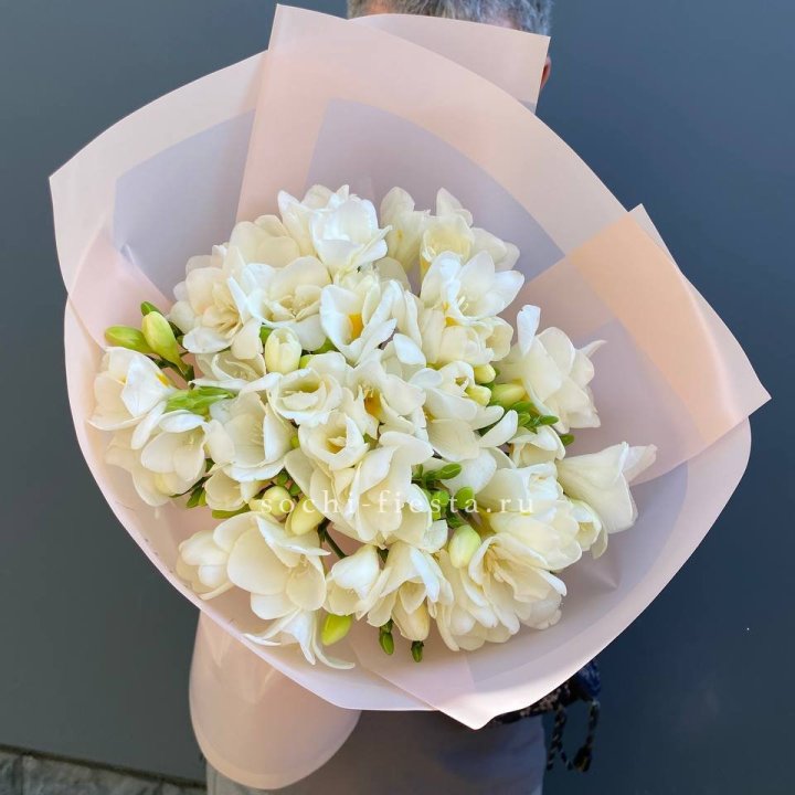 Букет белых фрезий  в Сочи