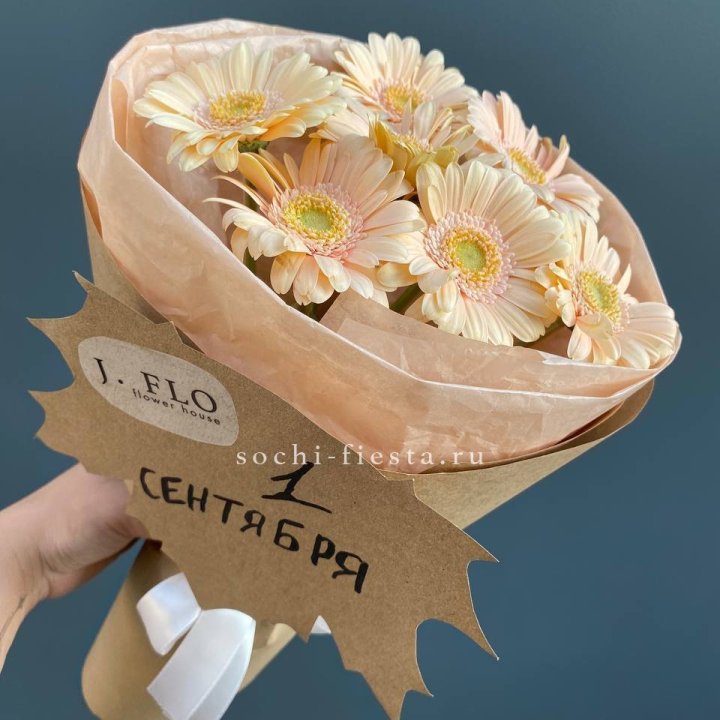 Букет гербер к 1 сентября в Сочи