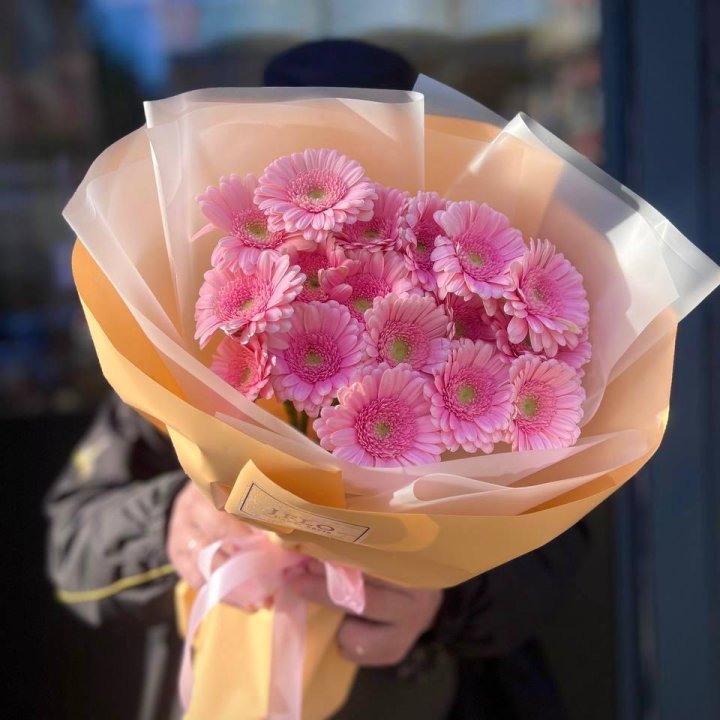 17 розовых гербер  в Сочи